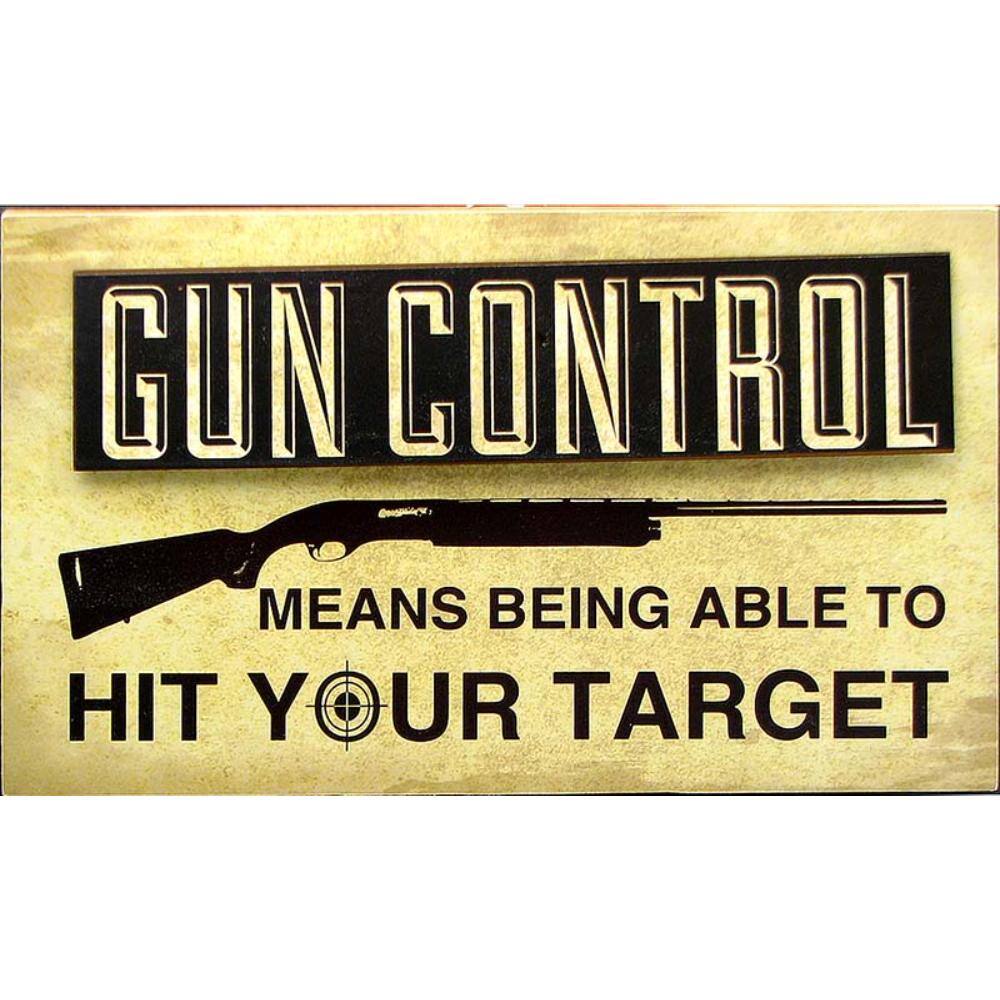 "BreeBe - Wood ""Gun Control"" Sign - Multicolor" price history on PriceWatchPro