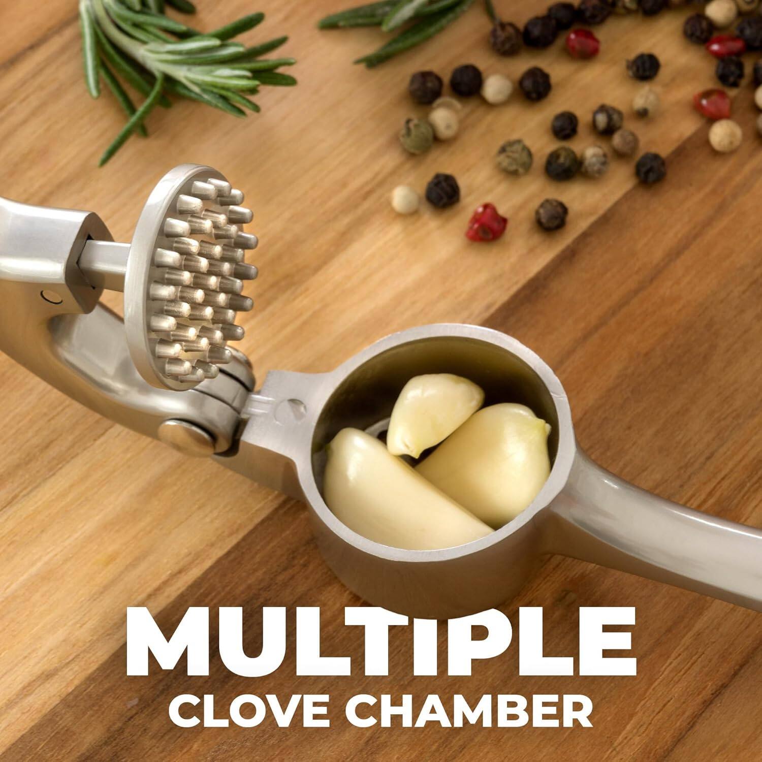 MULTIPLE CLOVE CHAMBER