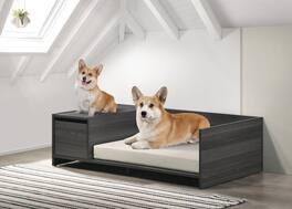 Siljoy - Ash Gray 47" Wide Modern Pet Bed with Cushion, Side Storage Compartment & Removable Cover, 22 lb Capacity - Dark Gray