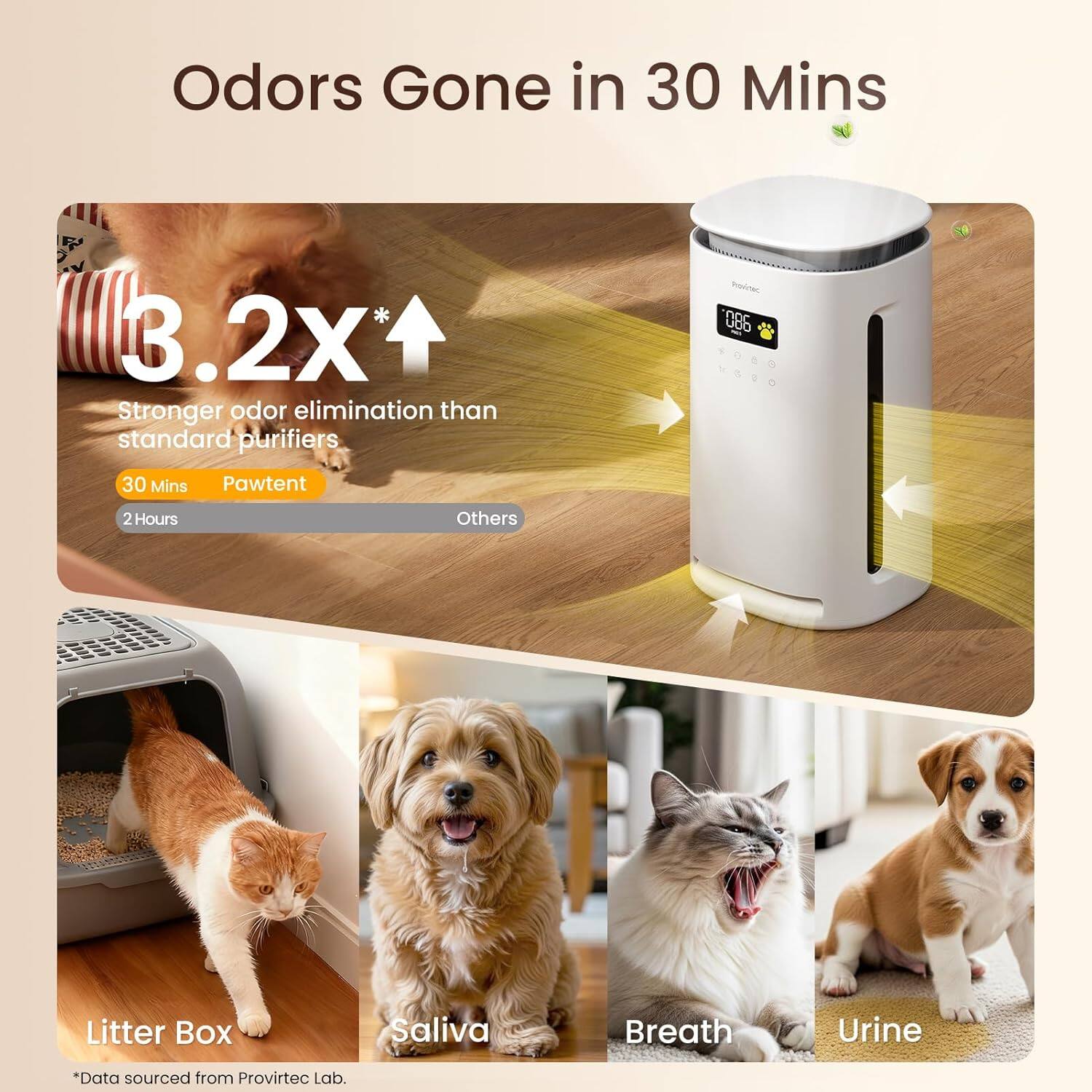 Odors Gone in 30 Mins

3.2X* Stronger odor elimination than standard purifiers

30 Mins Pawtent
2 Hours Others

Litter Box
Saliva
Breath
Urine

*Data sourced from Proviretec Lab.