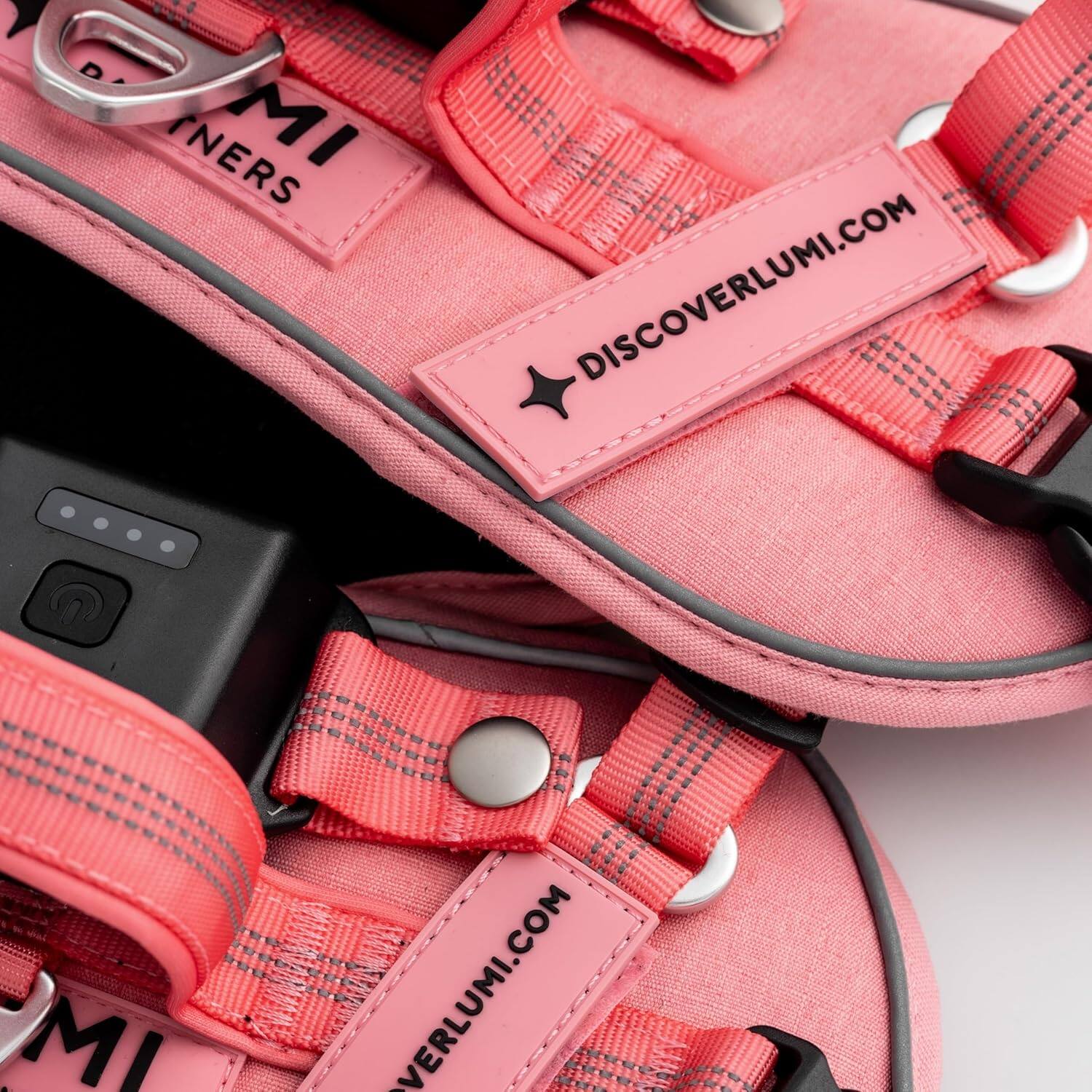 DISCOVERLUMI.COM  
LUMI PARTNERS