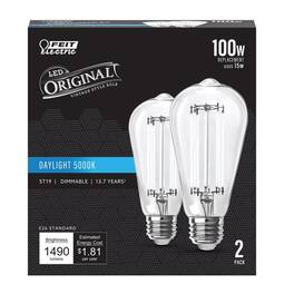 FEIT ELECTRIC - ST19 E26 (Medium) Filament LED Bulb Daylight 100 Watt Equivalence 2 pk