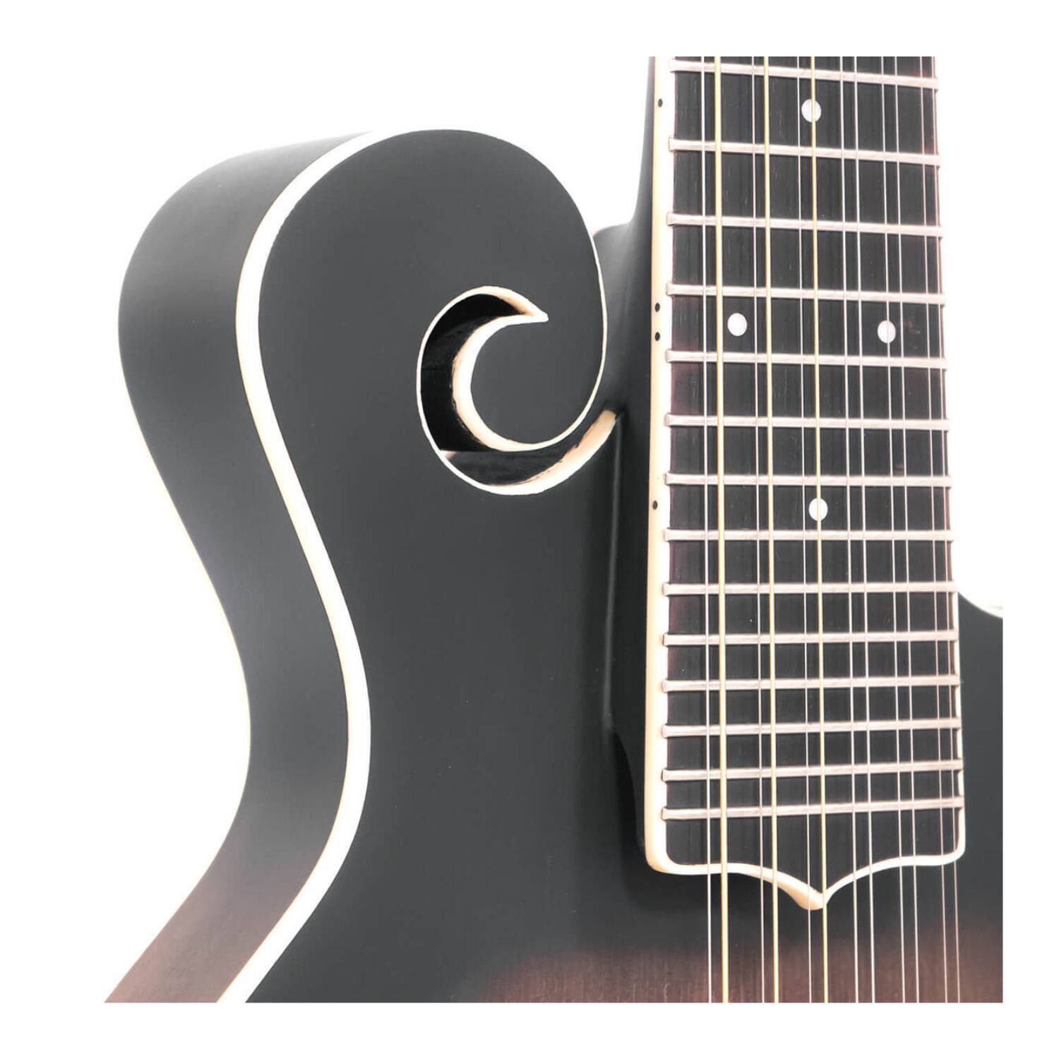 Left. Gold Tone - Gold Tone F-12: 12-string F-style Mando-Guitar with Pickup and Case.