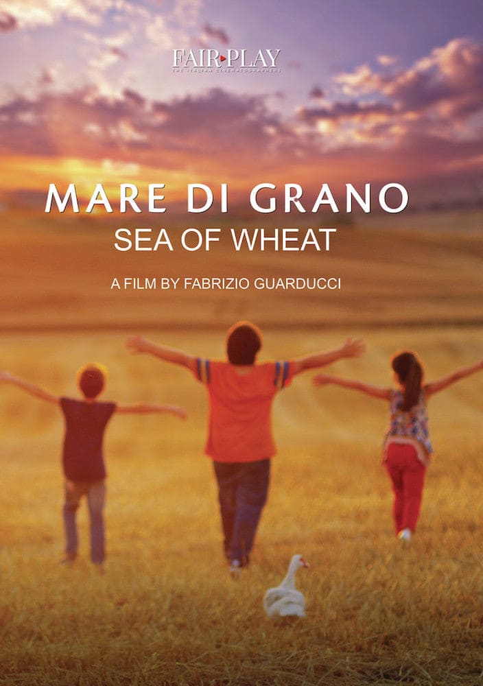 Sea of Wheat (Mare di Grano) (MOD) (DVD Movie) price history on PriceWatchPro