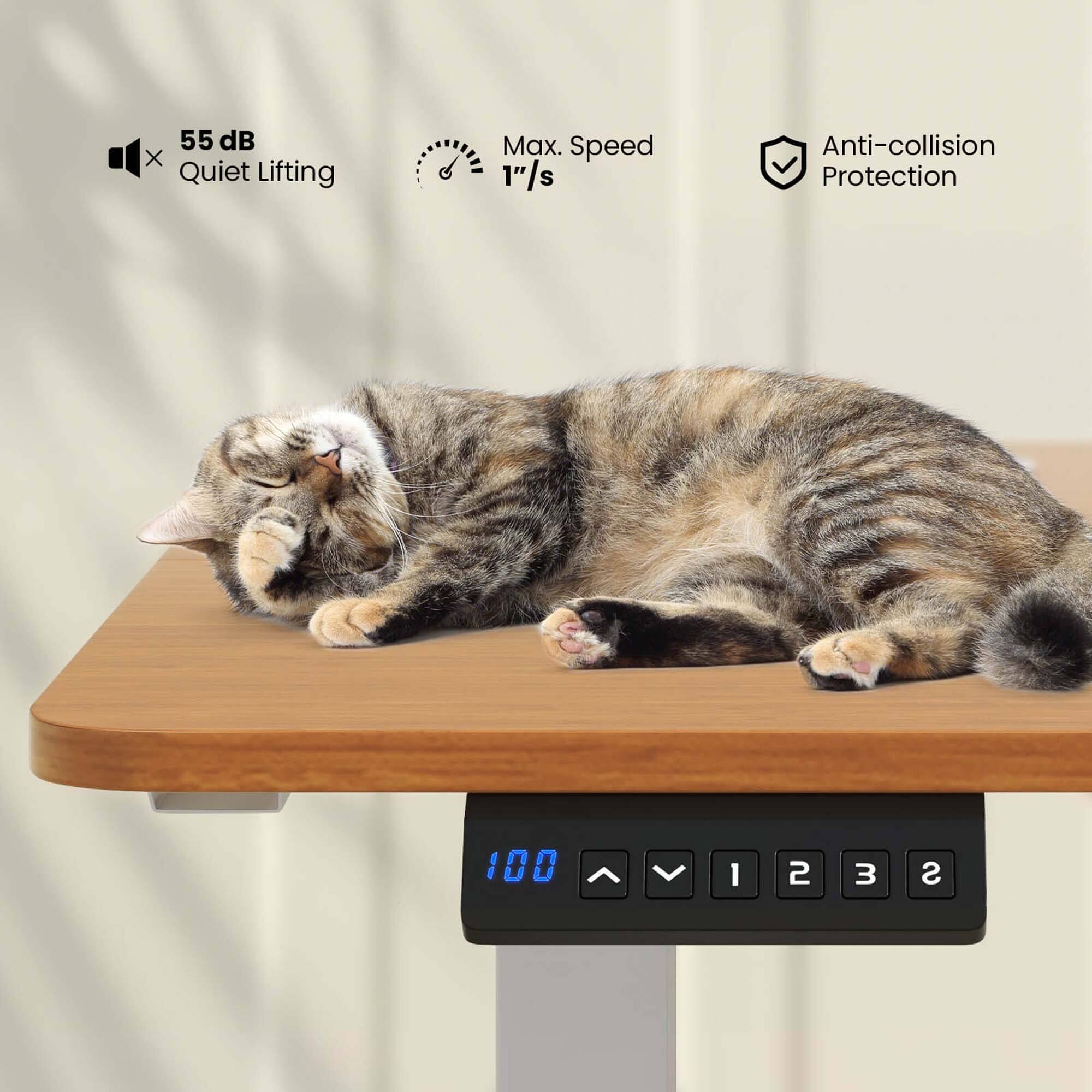 The text on the image reads: "55 dB Quiet Lifting Max. Speed 1" 1"/s Anti-collision Protection 100 1 2 3 S." This text is grouped as follows:

1. 55 dB Quiet Lifting: This refers to the noise level of the device, which is designed to be quiet during operation.
2. Max. Speed 1" 1"/s: This indicates the maximum speed at which the device can move, which is 1 inch per second.
3. Anti-collision Protection: This feature is meant to prevent the device from colliding with objects or people, ensuring safety during operation.
4. 100 1 2 3 S: This could be a reference to the device's weight capacity or a series of buttons on the device. However, without more context, it is not possible to determine the exact meaning of this part of the text.