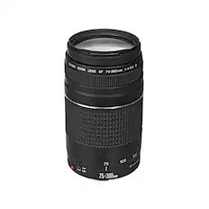 CANON 1:4-5.6 I ZOOM LENS 75-300mm EF AF MP 1.95 100 75 5 I 75-300mm
