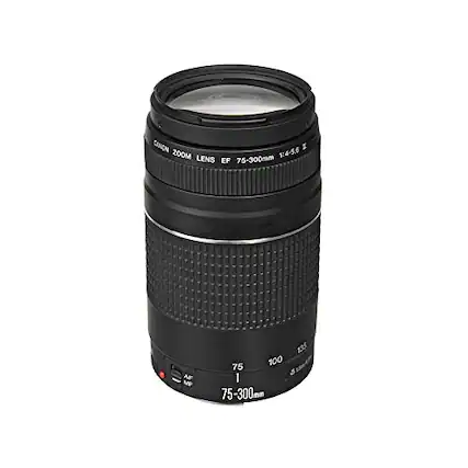 CANON 1:4-5.6 I ZOOM LENS 75-300mm EF AF MP 1.95 100 75 5 I 75-300mm