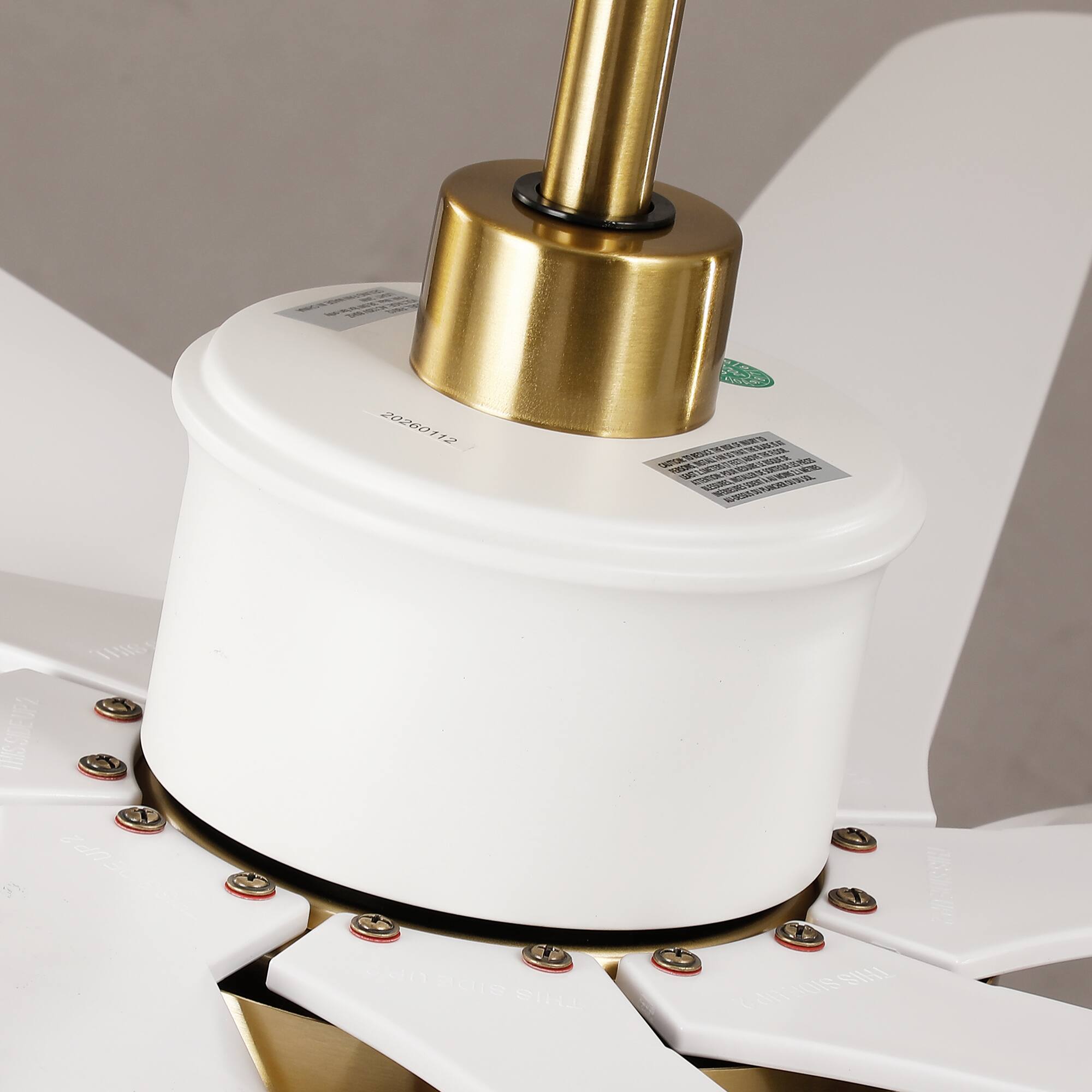 20260112 1E % 1 T / V CS A VGE E WLV E V TSUTEUEL WIC S S ESH CANDISSIL