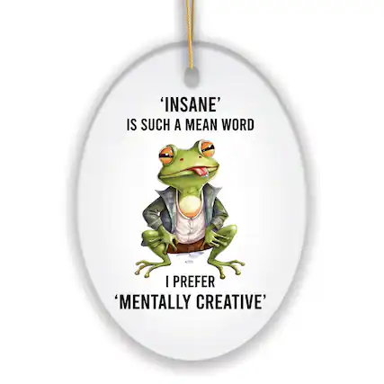 'INSANE' IS SUCH A MEAN WORD
I PREFER 'MENTALLY CREATIVE'