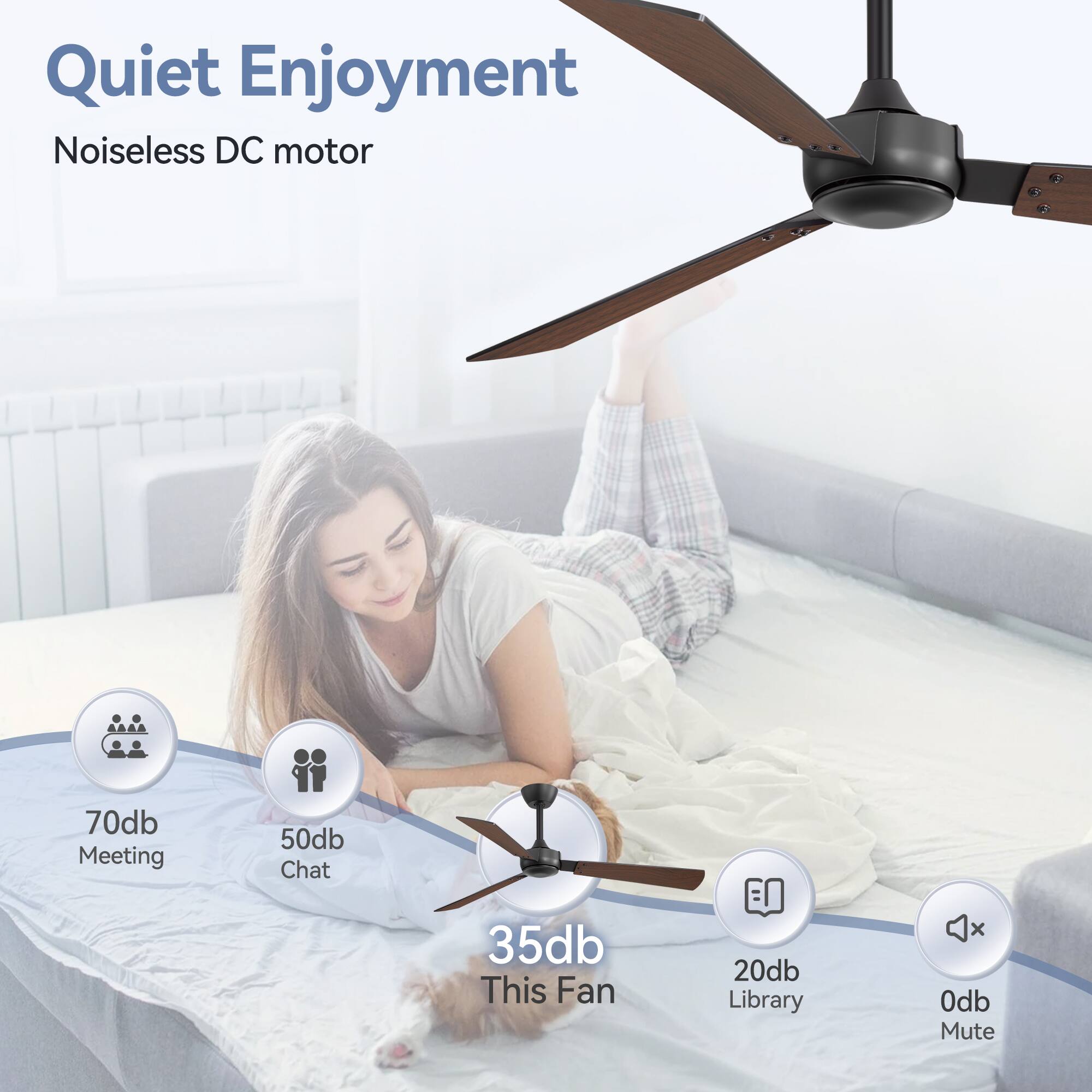 Quiet Enjoyment Noiseless DC motor

70db Meeting
50db Chat
35db This Fan
20db Library
0db Mute