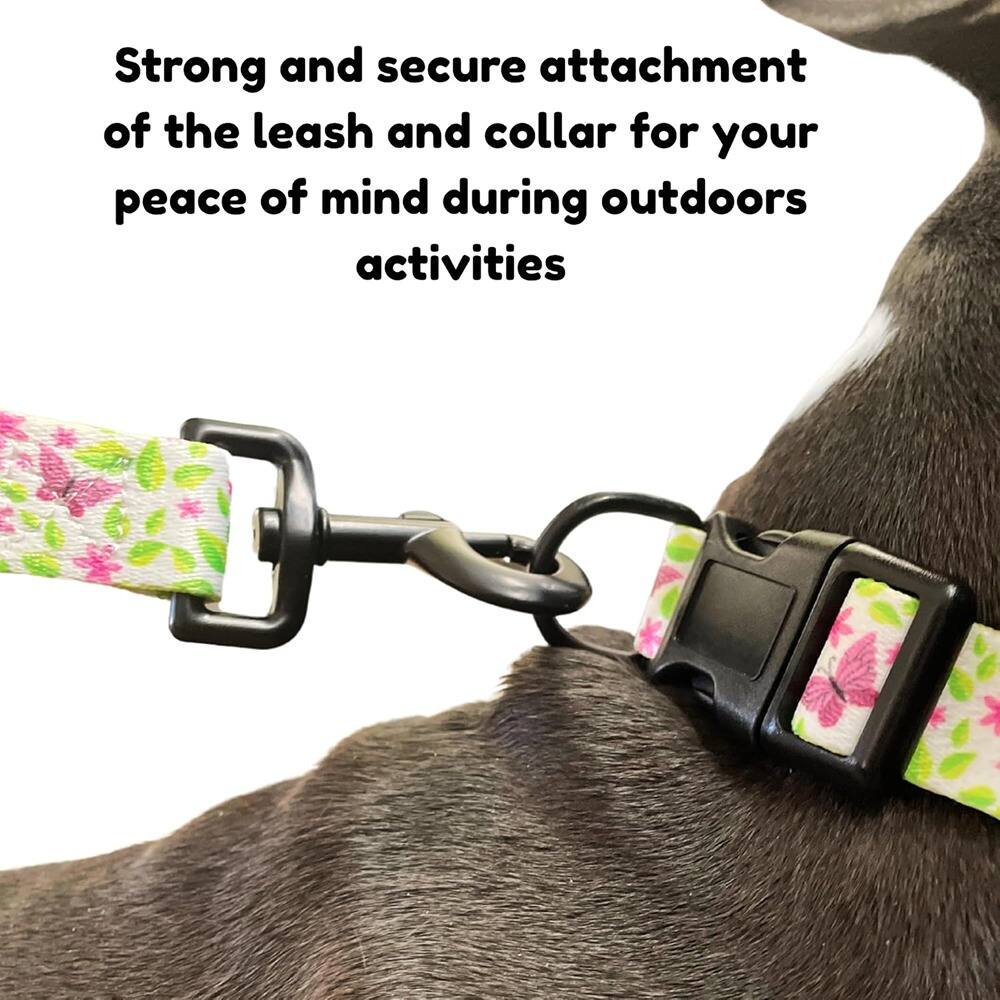 Strong and secure attachment of the leash and collar for your peace of mind during outdoor activities