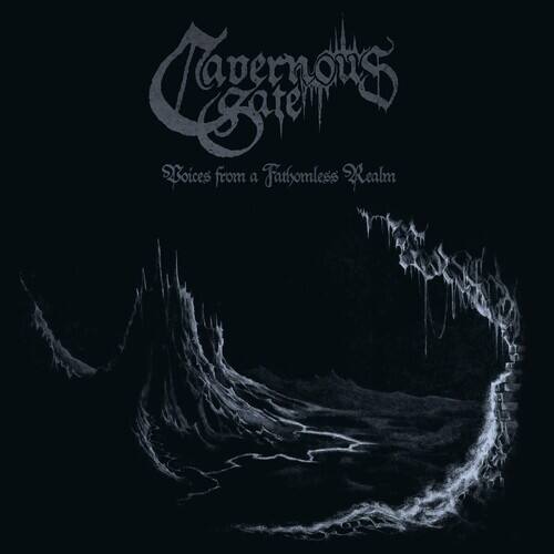 Voices From a Fathomless Realm [LP] [VINYL] price history on PriceWatchPro