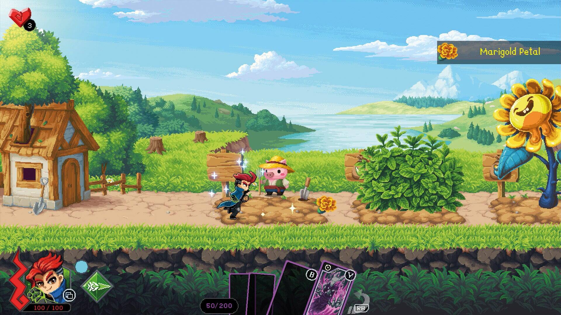 3 Marigold Petal B C 100 100/100/100 50/200 RB