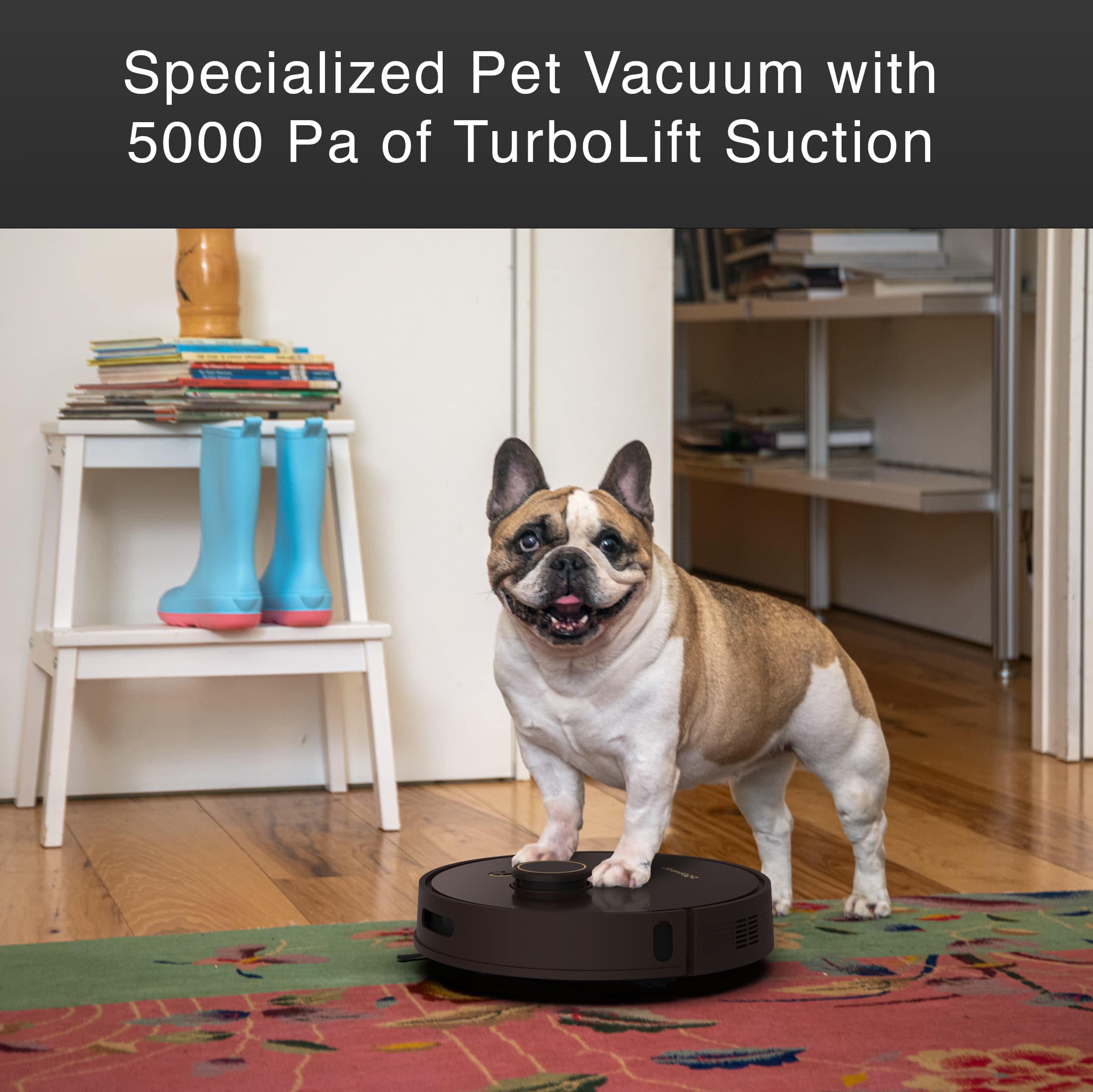 Specialized Pet Vacuum with 5000 Pa of TurboLift Suction