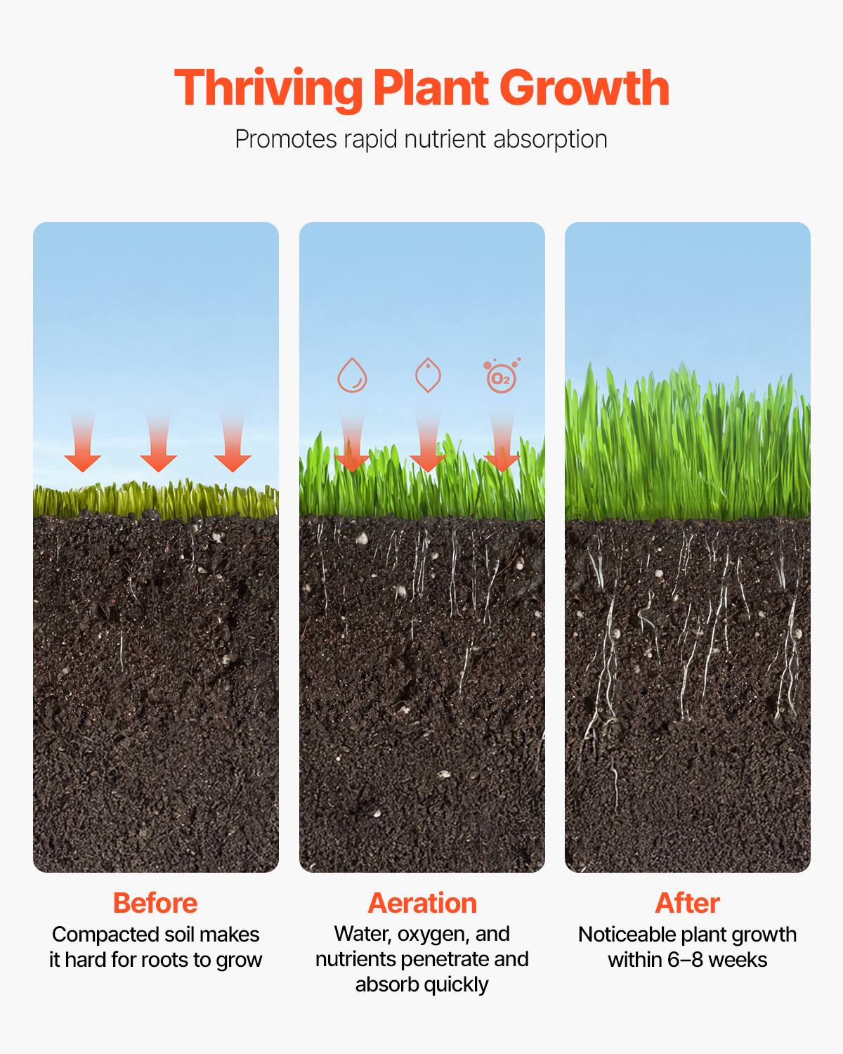 Thriving Plant Growth  
Promotes rapid nutrient absorption  

Before  
Compacted soil makes it hard for roots to grow  

Aeration  
Water, oxygen, and nutrients penetrate and absorb quickly  

After  
Noticeable plant growth within 6-8 weeks