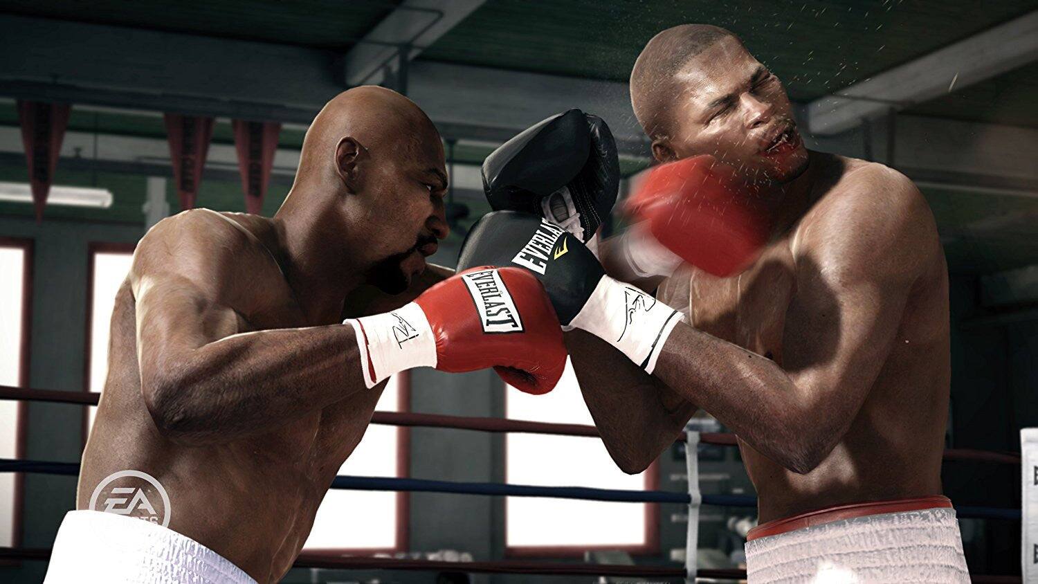 EVERLAST EVERLAST