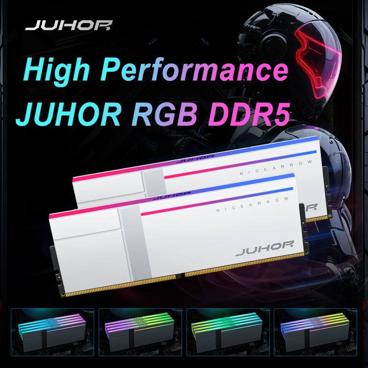 JUHOR High Performance JUHOR RGB DDR5  
NICEARROW  
NICEARROW R.
