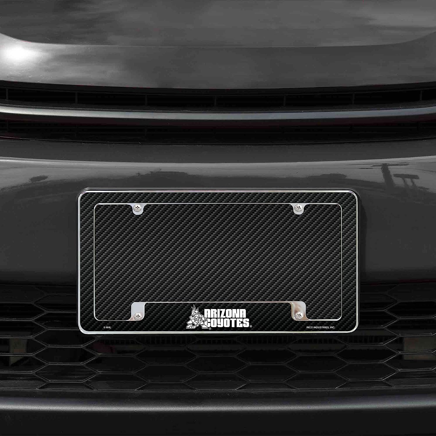 ARIZONA COYOTES  
RICO INDUSTRIES INC.