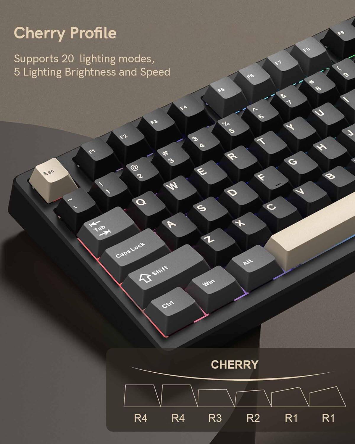 Cherry Profile  
Supports 20 lighting modes, 5 Lighting Brightness and Speed  

F9 FB  
F8 8  
F7 7  
F6 6  
F5 5  
F4 4  
F3 3  
F2 2  
F1 1  

Esc 2 E F ! W - 1 D V - Q I S C 1 Tab A X Z Lock Caps Alt Shift Win Ctrl  

CHERRY  
R4 R4 R3 R2 R1 R1