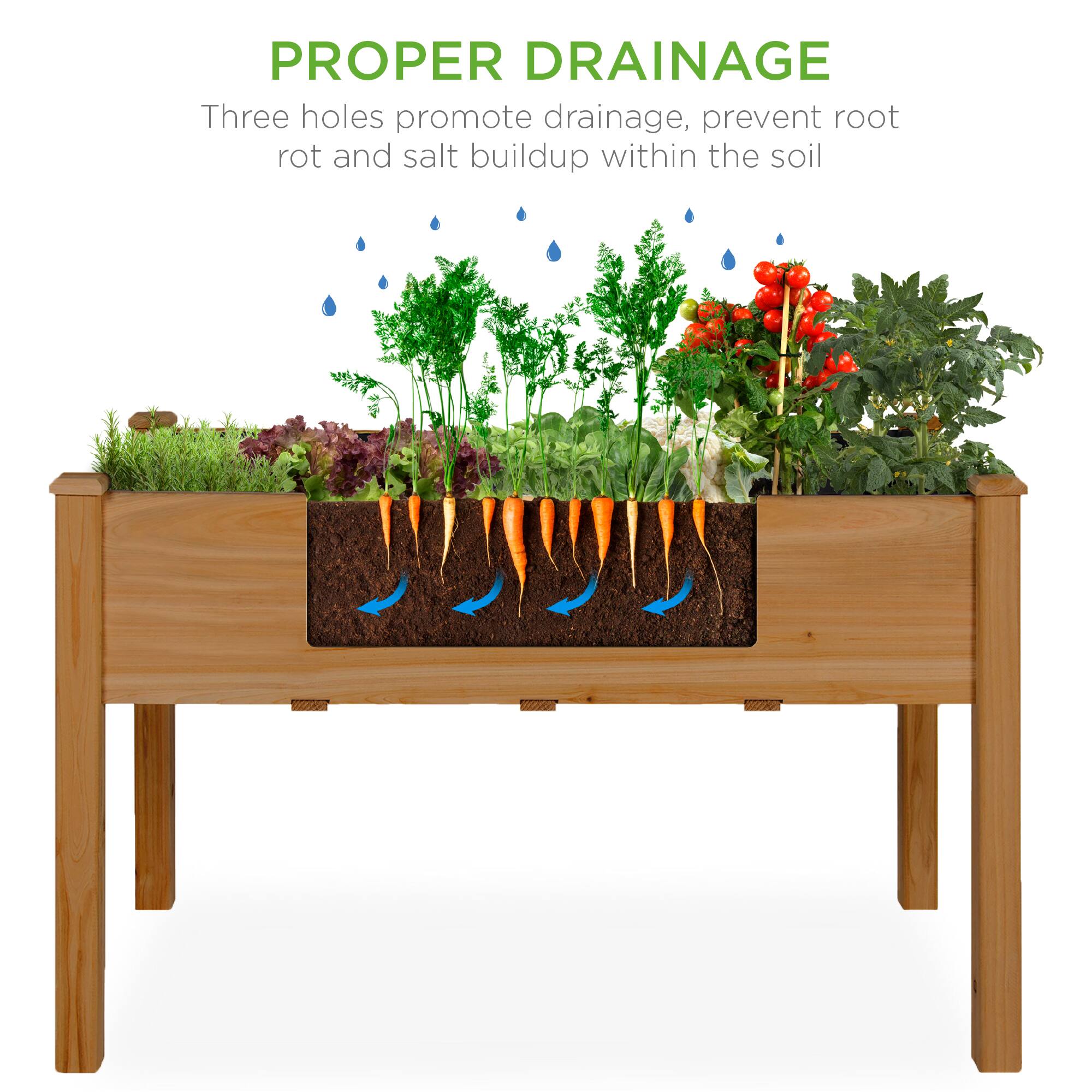PROPER DRAINAGE  
Three holes promote drainage, prevent root rot and salt buildup within the soil