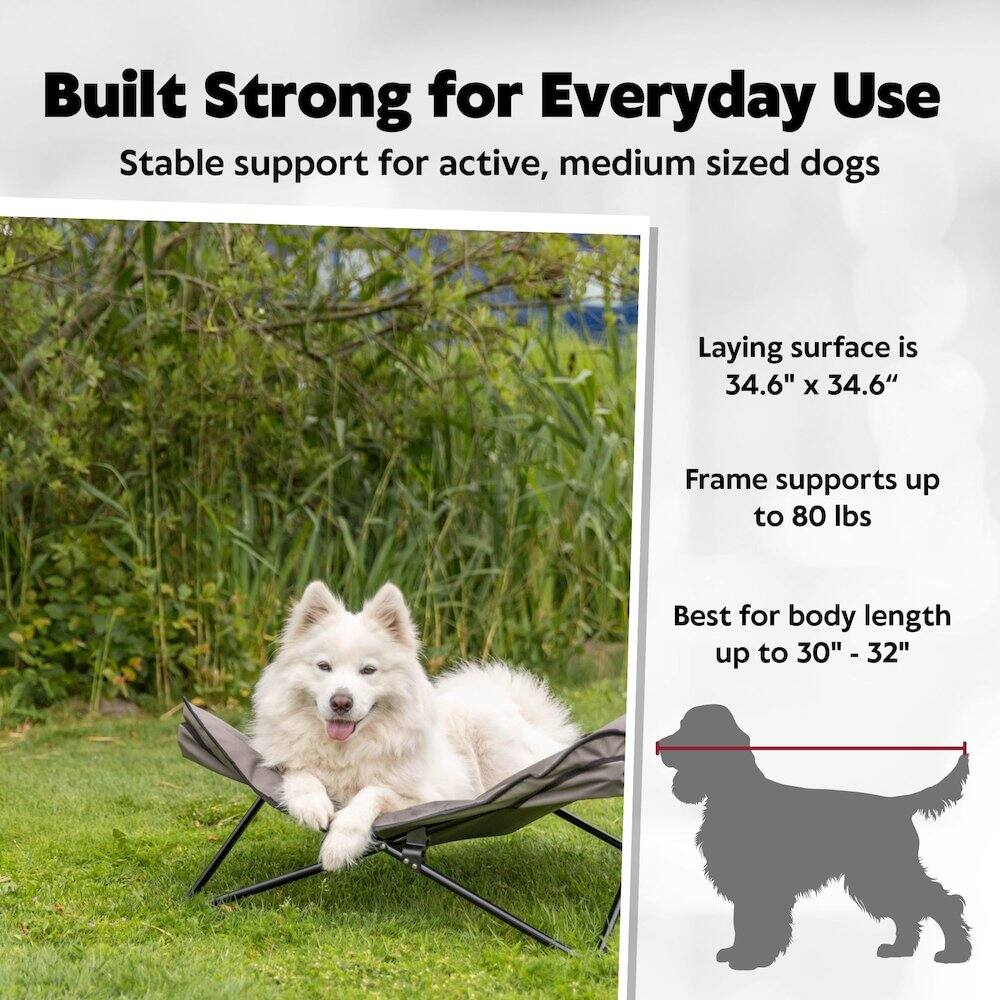 Built Strong for Everyday Use  
Stable support for active, medium sized dogs  

Laying surface is 34.6" x 34.6"  
Frame supports up to 80 lbs  
Best for body length up to 30" - 32"