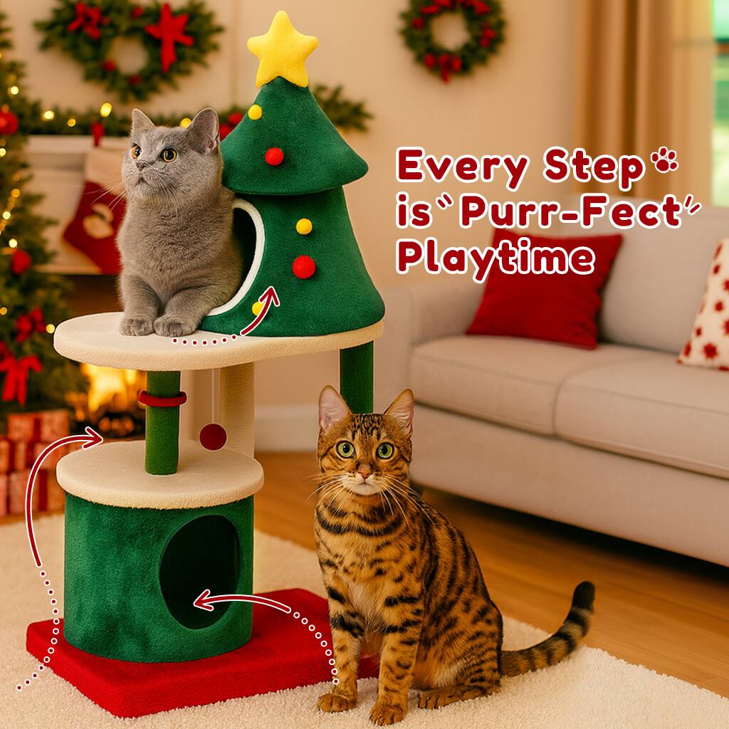 Every Step is "Purr-Perfect" Playtime
