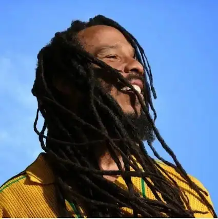 Front. Ziggy Marley - Brightside - Limited - COMPACT DISCS.