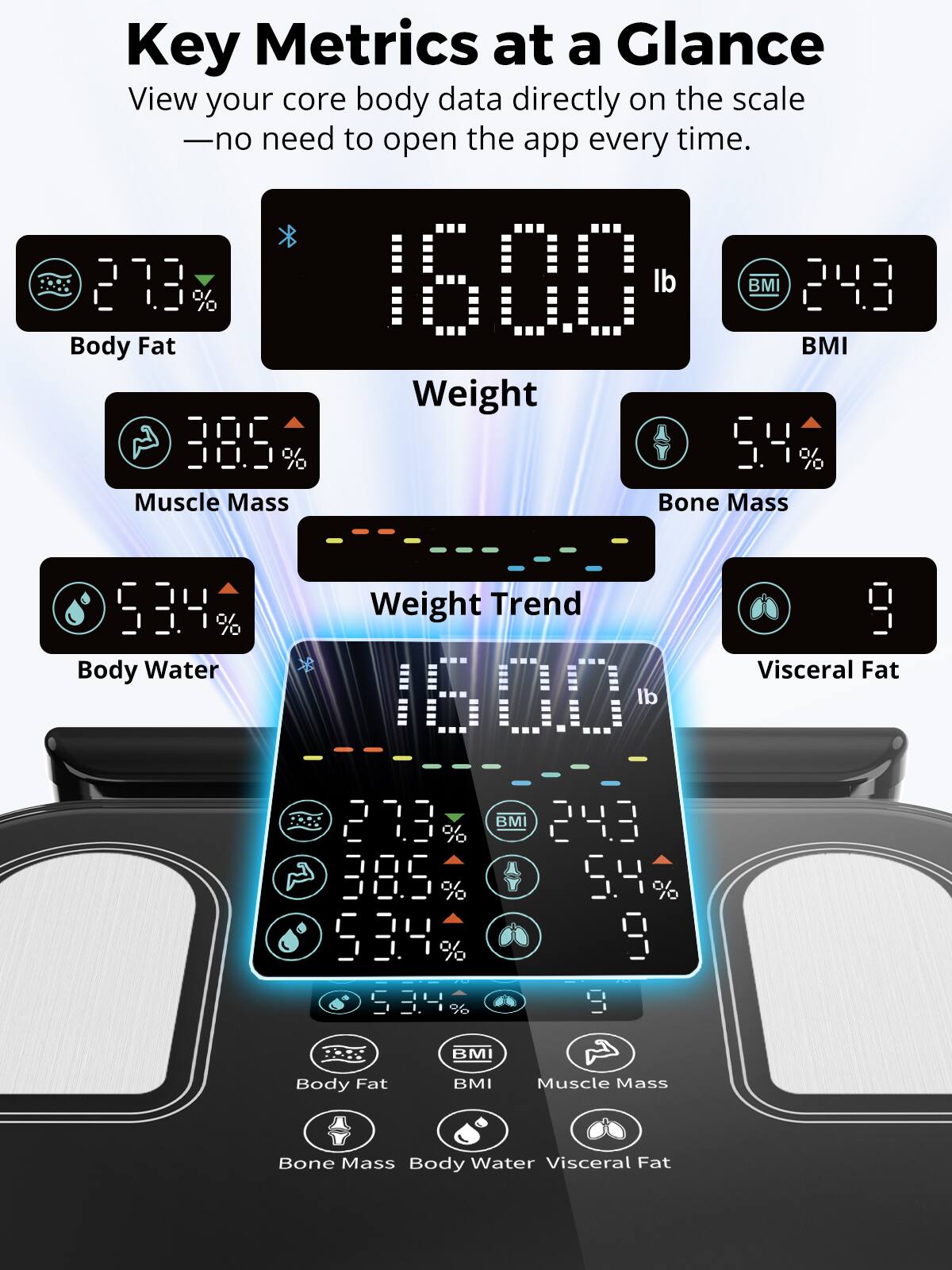 Key Metrics at a Glance  
View your core body data directly on the scale - no need to open the app every time.

- Body Fat: 27.3%
- Weight: 160.0 lb
- BMI: 24.3
- Muscle Mass: 38.5%
- Bone Mass: 5.4%
- Body Water: 53.4%
- Weight Trend
- Visceral Fat: 9