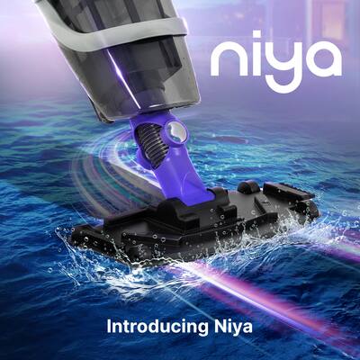 Intex Handheld Rechargeable Pool Vacuum – Telescoping Aluminum Shaft, 120V Charger