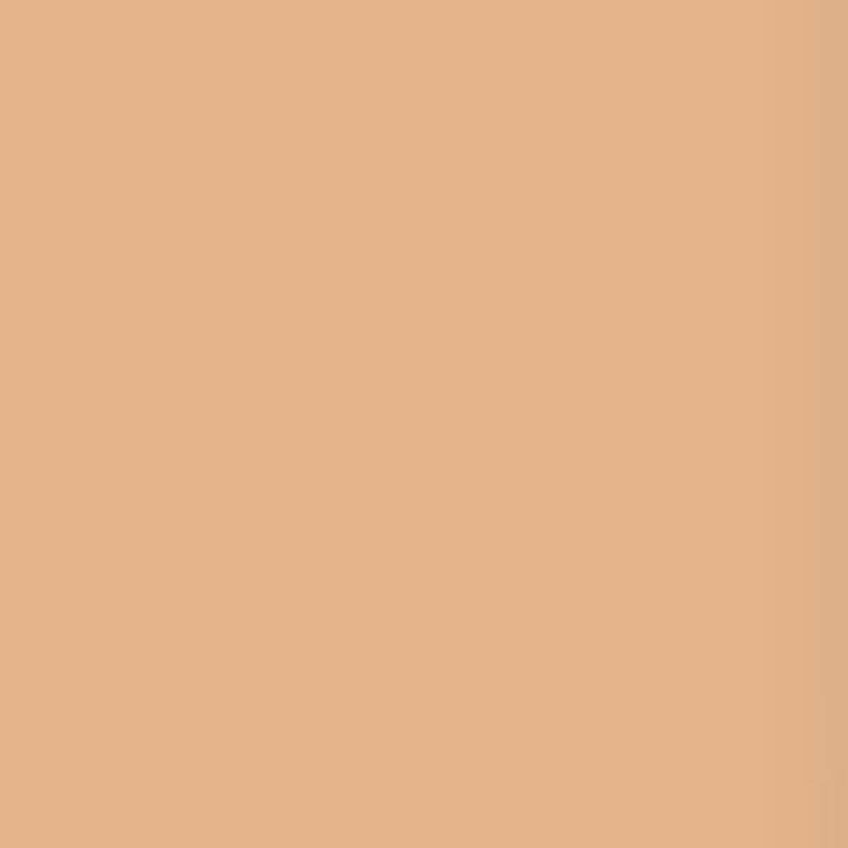 Front. Lee Filters - Lee Filters Chocolate 24x21" Gel Filter Sheet.