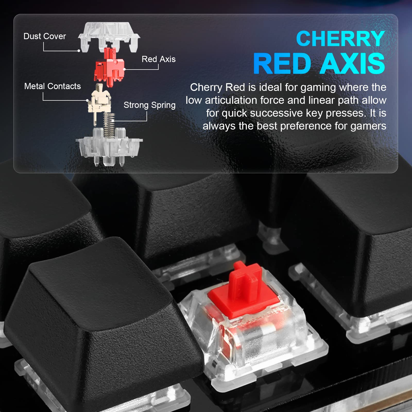 **CHERRY RED AXIS**

Cherry Red is ideal for gaming where the low articulation force and linear path allow for quick successive key presses. It is always the best preference for gamers.

- Dust Cover
- Red Axis
- Metal Contacts
- Strong Spring