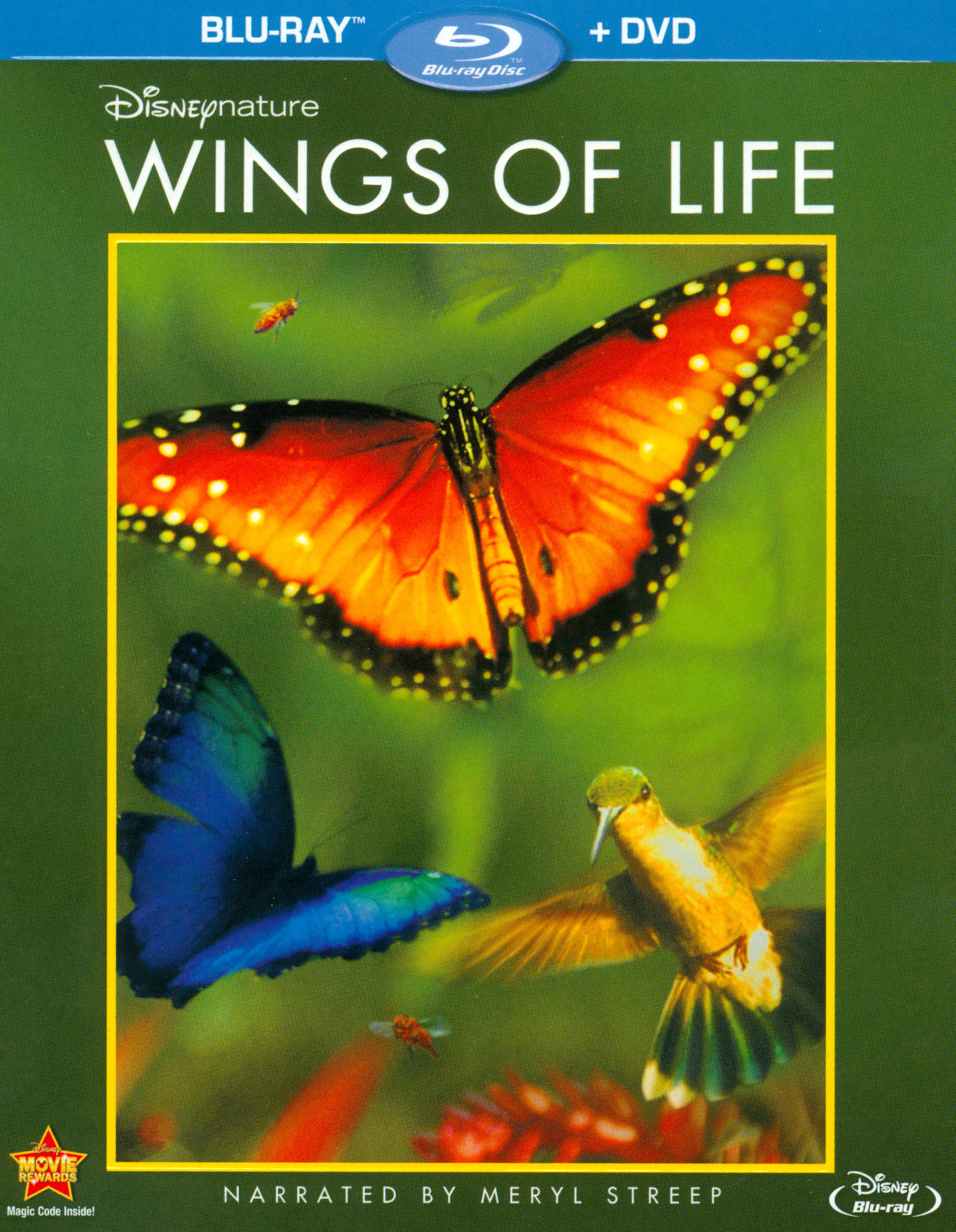 Wings Of Life