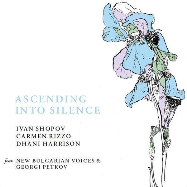 Ascending Into Silence [LP] [VINYL] price history on PriceWatchPro