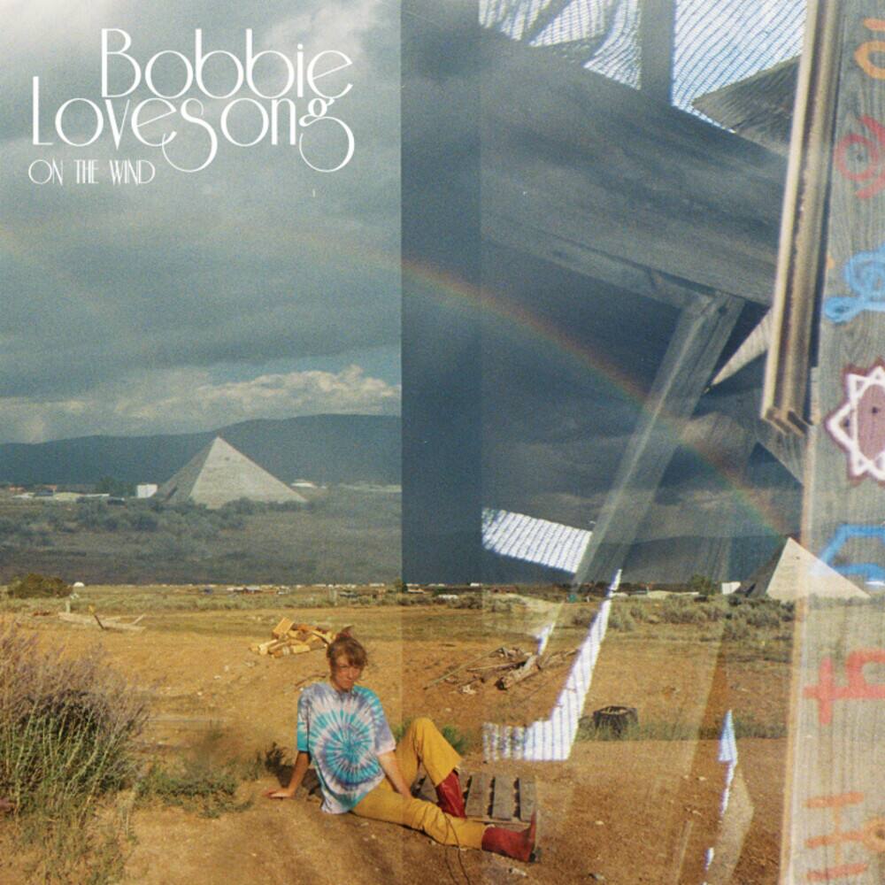 On the Wind [LP] [VINYL] price history on PriceWatchPro