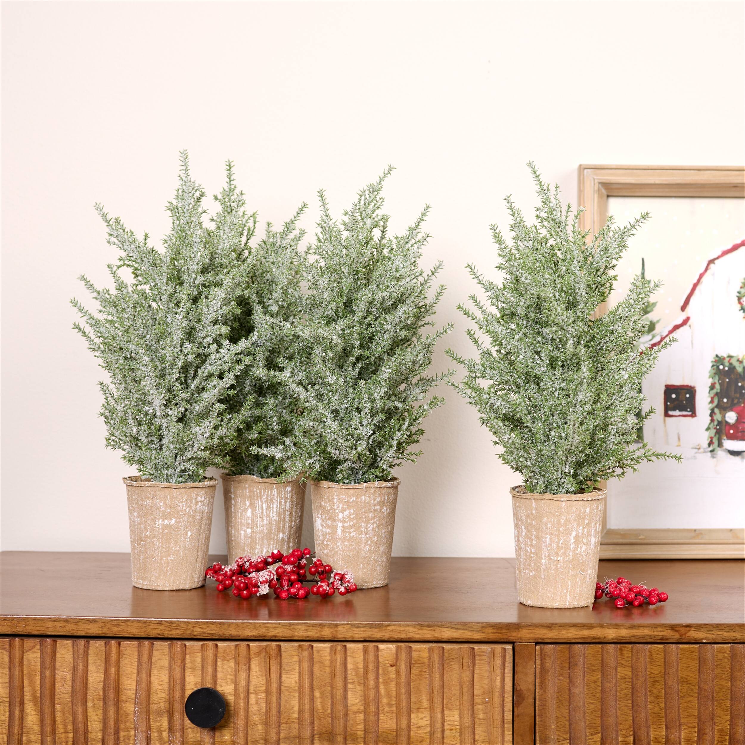 Angle. BreeBe - Frosted Holiday Pine Tree in Paper Pot (Set of 4) - Green, White.