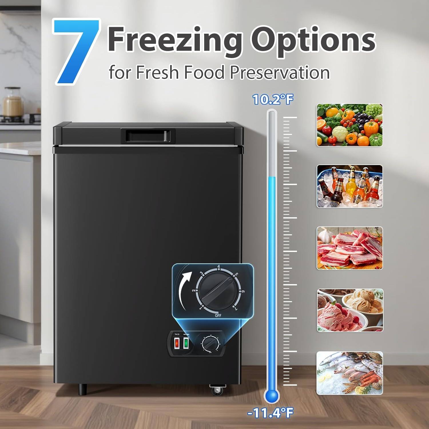 7 Freezing Options for Fresh Food Preservation

10.2°F

-11.4°F