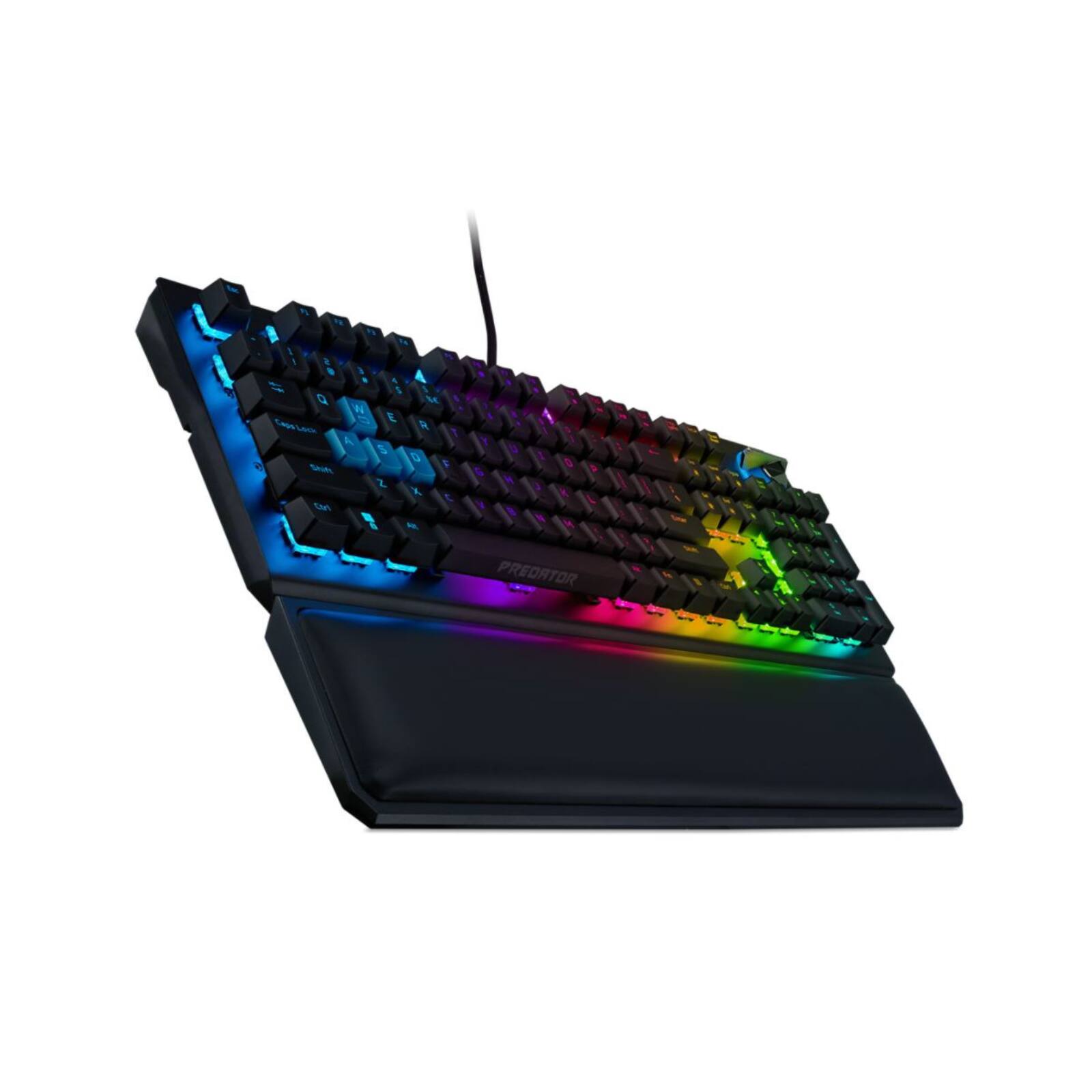 The text on the image reads:

"PREDATOR"