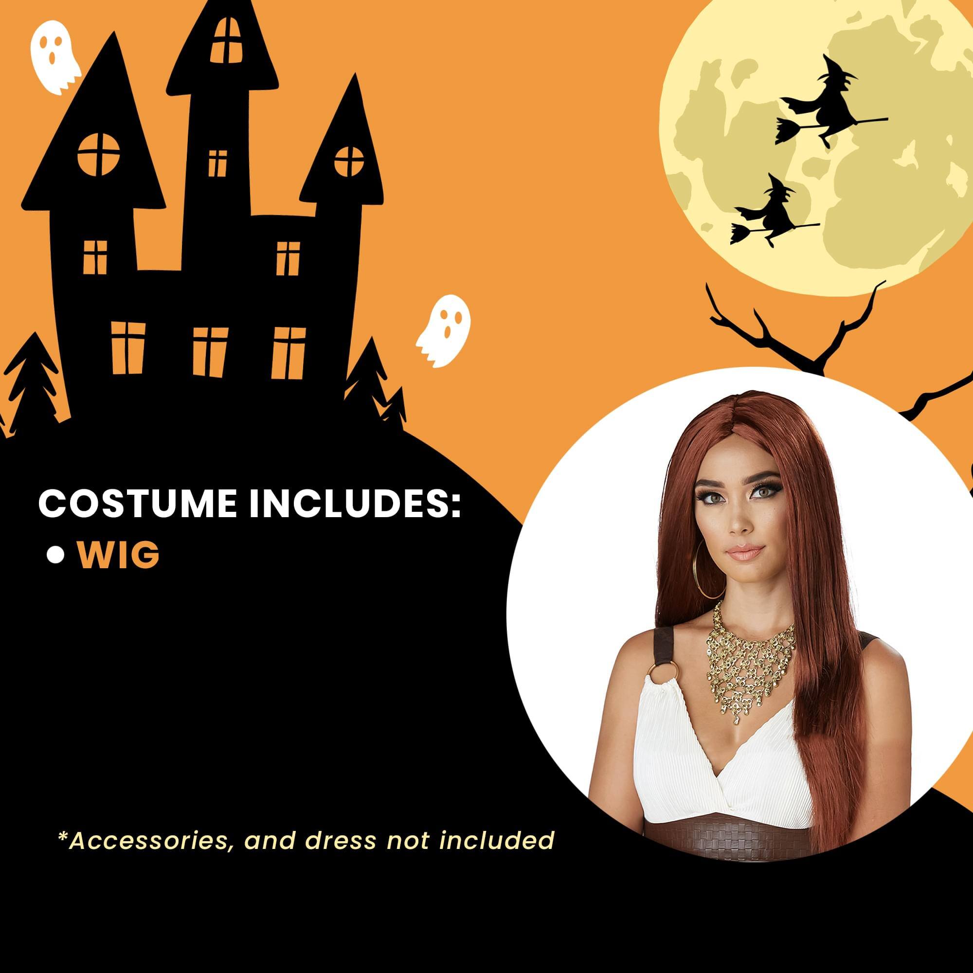 COSTUME INCLUDES:  
- WIG  

*Accessories, and dress not included