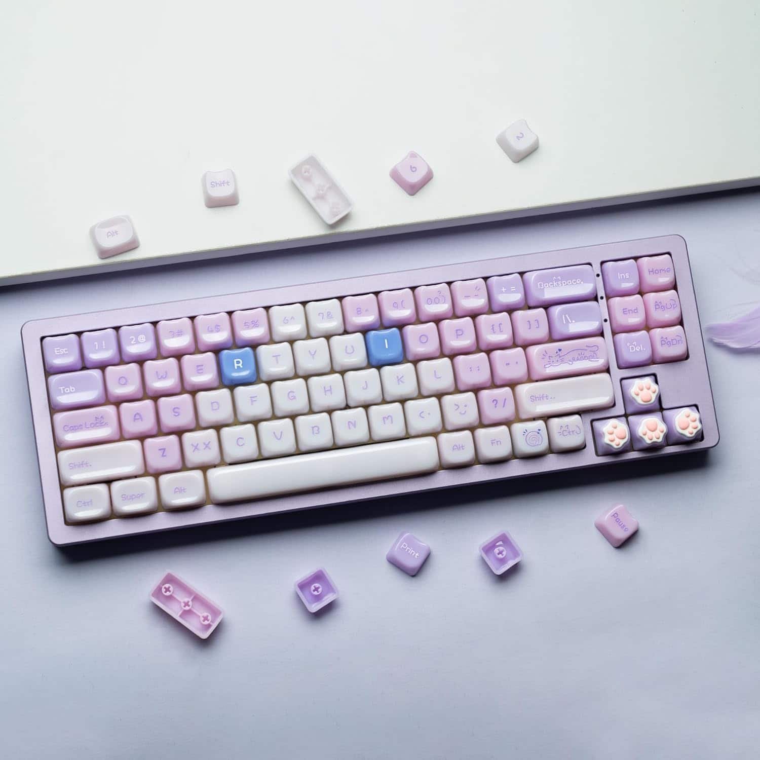 Womier - Jelly Jade Keycaps, Translucent Cute Ragdoll Cat Mao Profile Key caps for All US Layout Mechanical Keyboard - Purple
