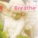 Front Standard. Breathe: The Relaxing Baroque [CD].