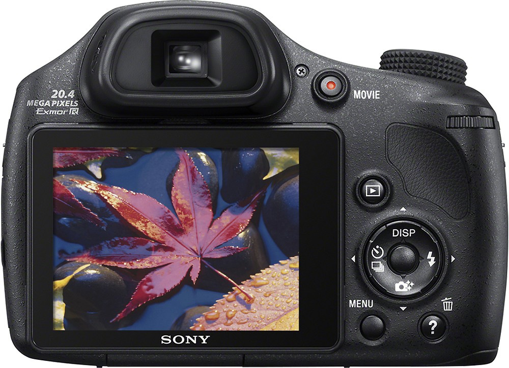 steenkool ochtendgloren wijn Best Buy: Sony DSC-HX300 20.4-Megapixel Digital Camera Black DSCHX300/B