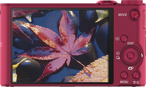 Best Buy: Sony DSC-WX300 18.2-Megapixel Digital Camera Red DSCWX300/R