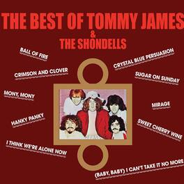 James,Tommy / Shondells - The Best Of Tommy James & The Shondells - VINYL LP