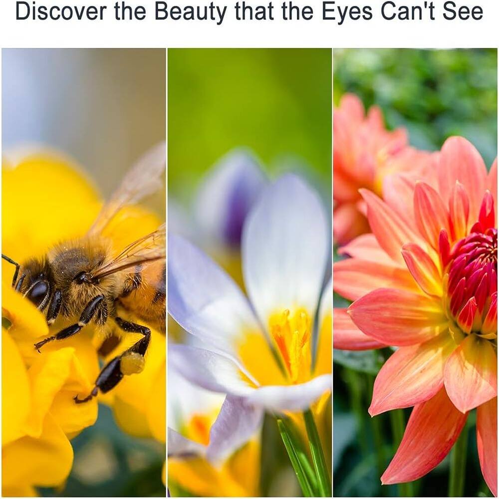 Discover the Beauty that the Eyes Can't See