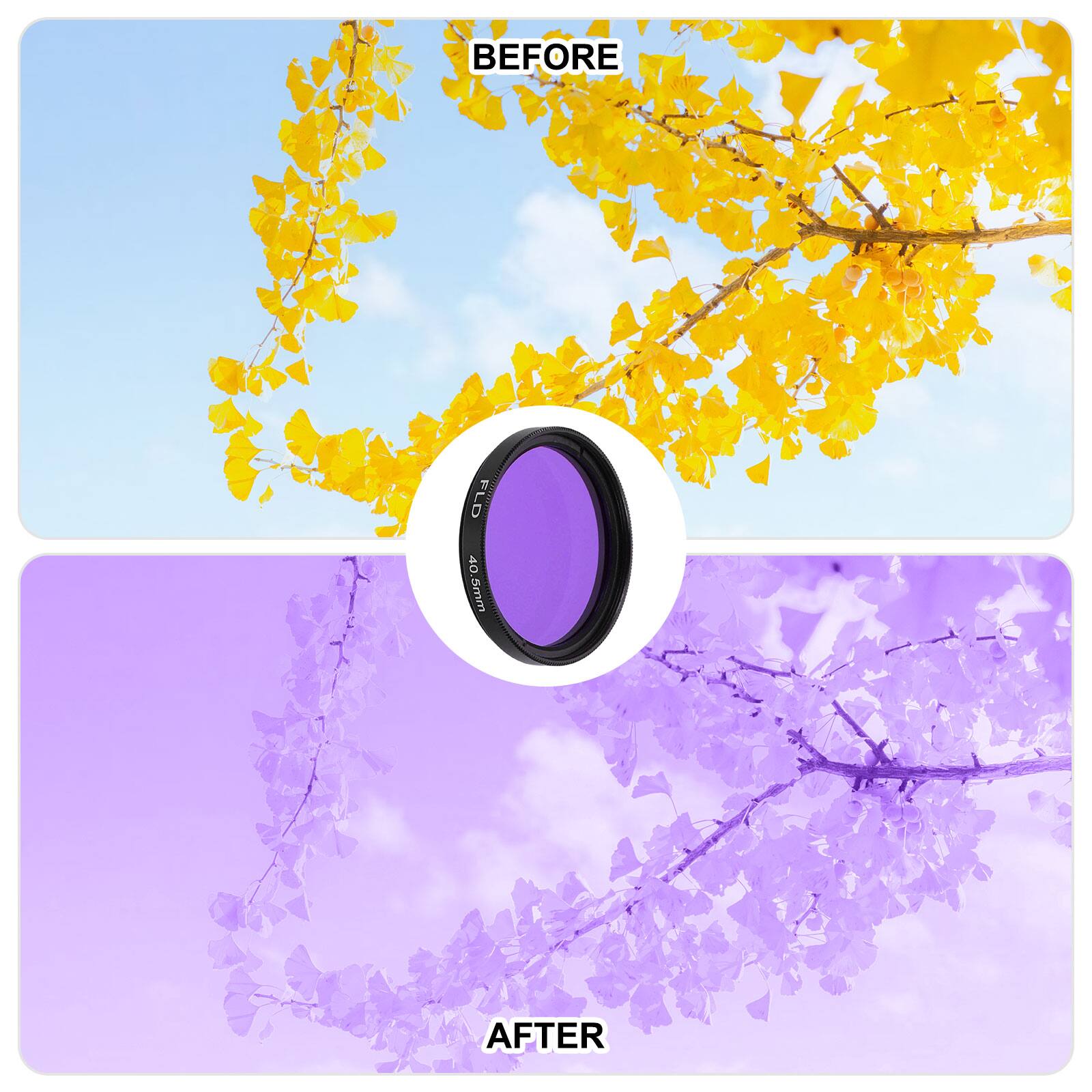 BEFORE  
AFTER