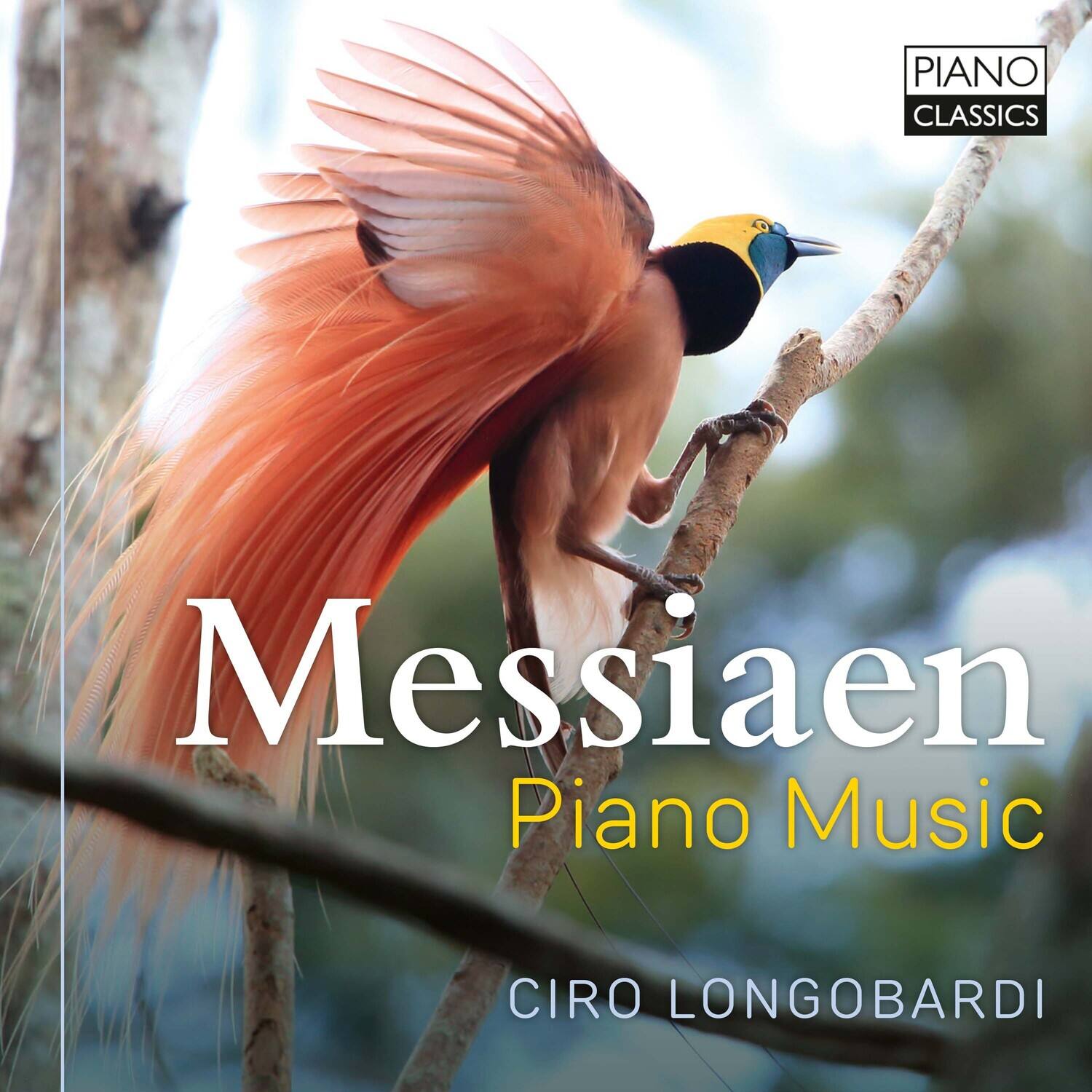 PIANO CLASSICS

Messiaen  
Piano Music

CIRO LONGOBARDI