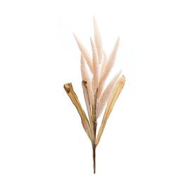 BreeBe - Foxtail Plume Stem (Set of 2) - Pink, Beige