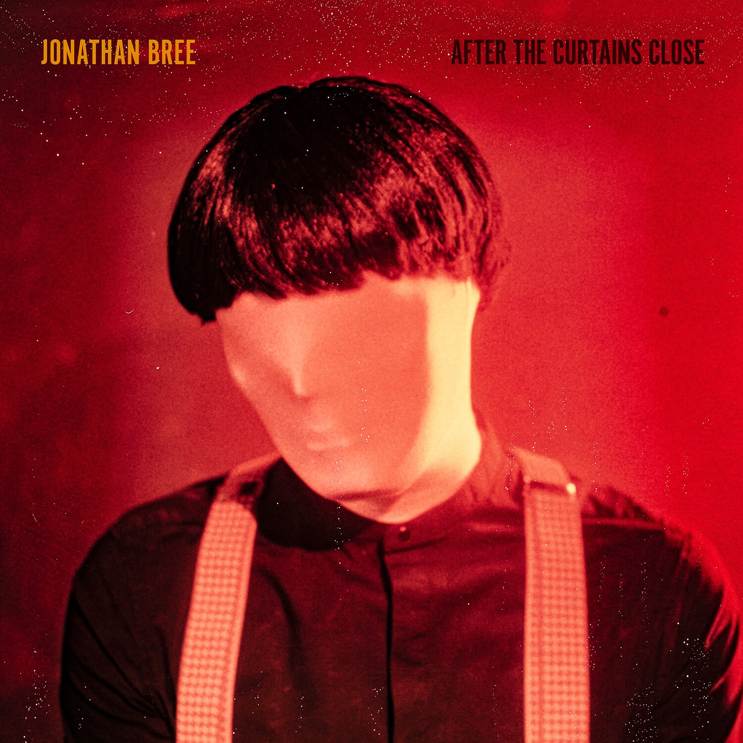 Jonathan Bree - After The Curtains Close   - VINYL LP price history on PriceWatchPro