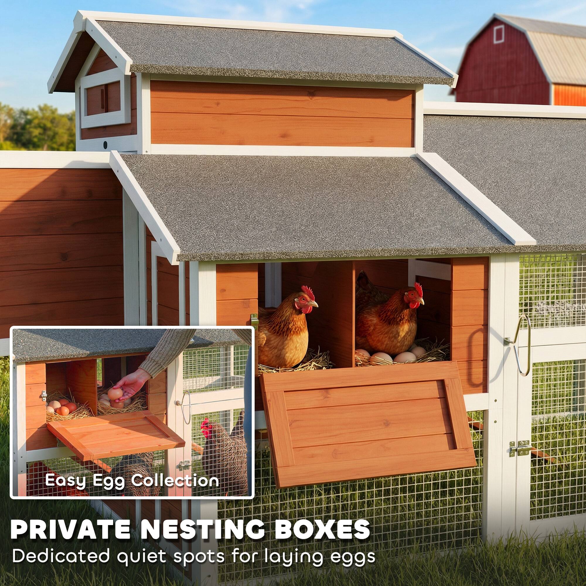 Easy Egg Collection  
PRIVATE NESTING BOXES  
Dedicated quiet spots for laying eggs