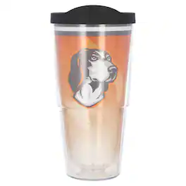 Tervis - Tennessee Volunteers 24oz. Forever Fan Classic Tumbler - Multicolor